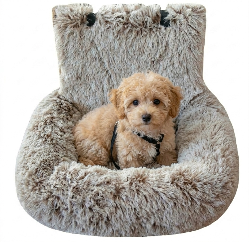 Pawhaven Honden Automand